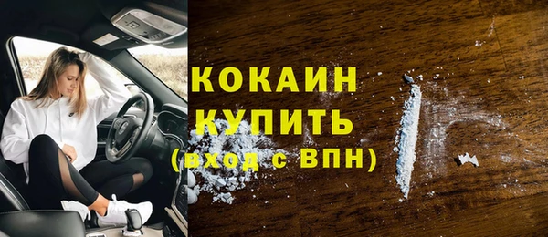 метадон Инта