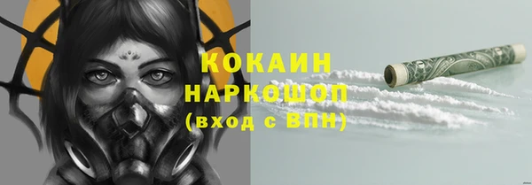 метадон Инта