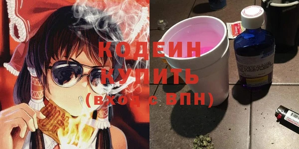 метадон Инта