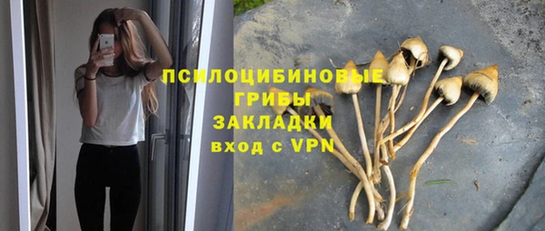 Альфа ПВП Инсар