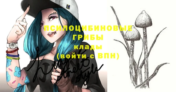 спиды Иннополис