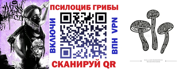 Галлюциногенные грибы Psilocybe  Купить где  Зеленокумск 